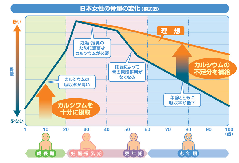 http://www.calcium-kazoku.jp/labo-012-01.jpg