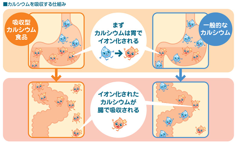 http://www.calcium-kazoku.jp/labo-013-01.jpg