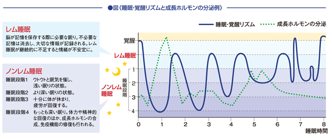 http://www.calcium-kazoku.jp/labo-038-01.jpg